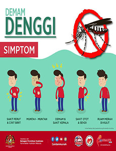 Denggi - Simptom